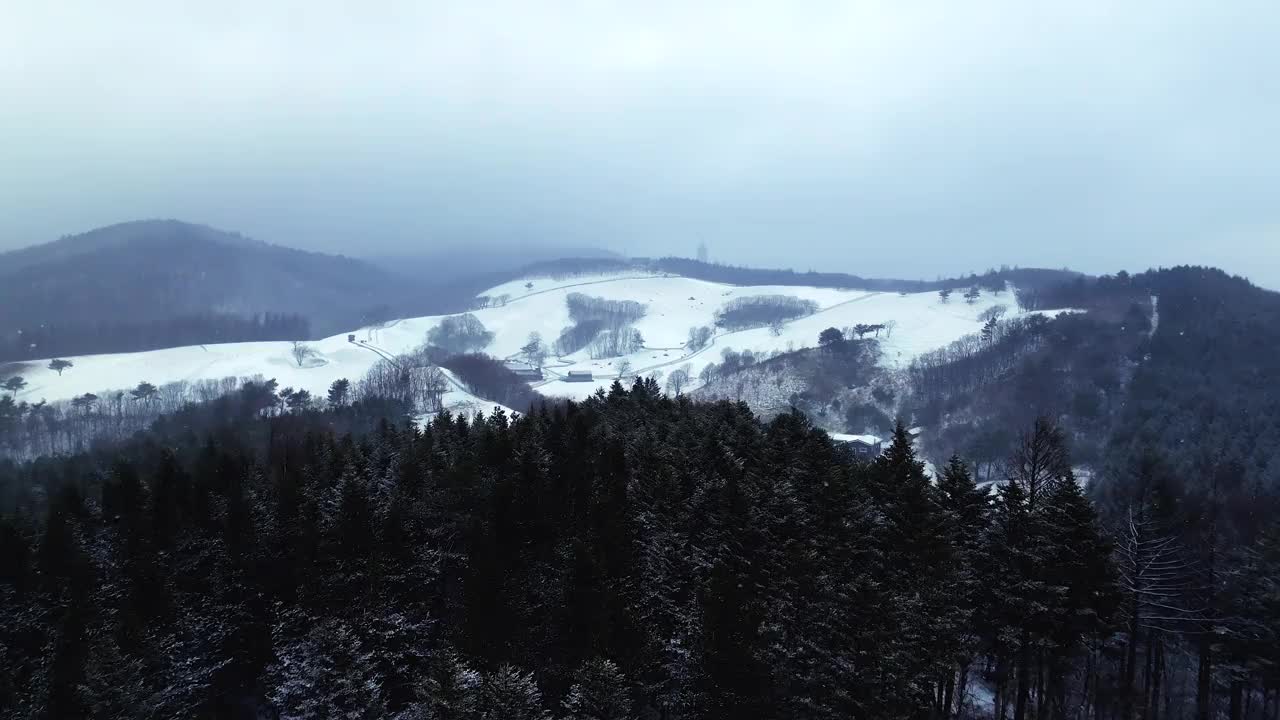 大关岭羊场和雪山/江原道，韩国视频素材