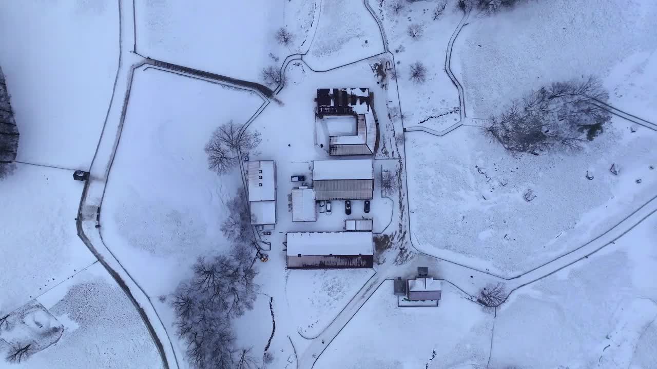 云海附近的大关岭牧羊场和雪山/江原道，韩国视频素材