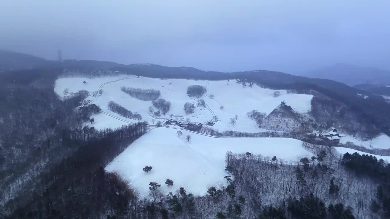 大关岭羊场和雪山/江原道，韩国视频素材