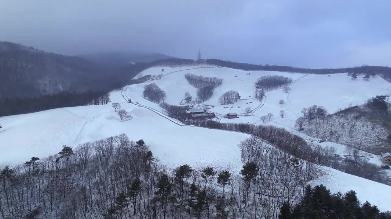 大关岭羊场和雪山/江原道，韩国视频素材