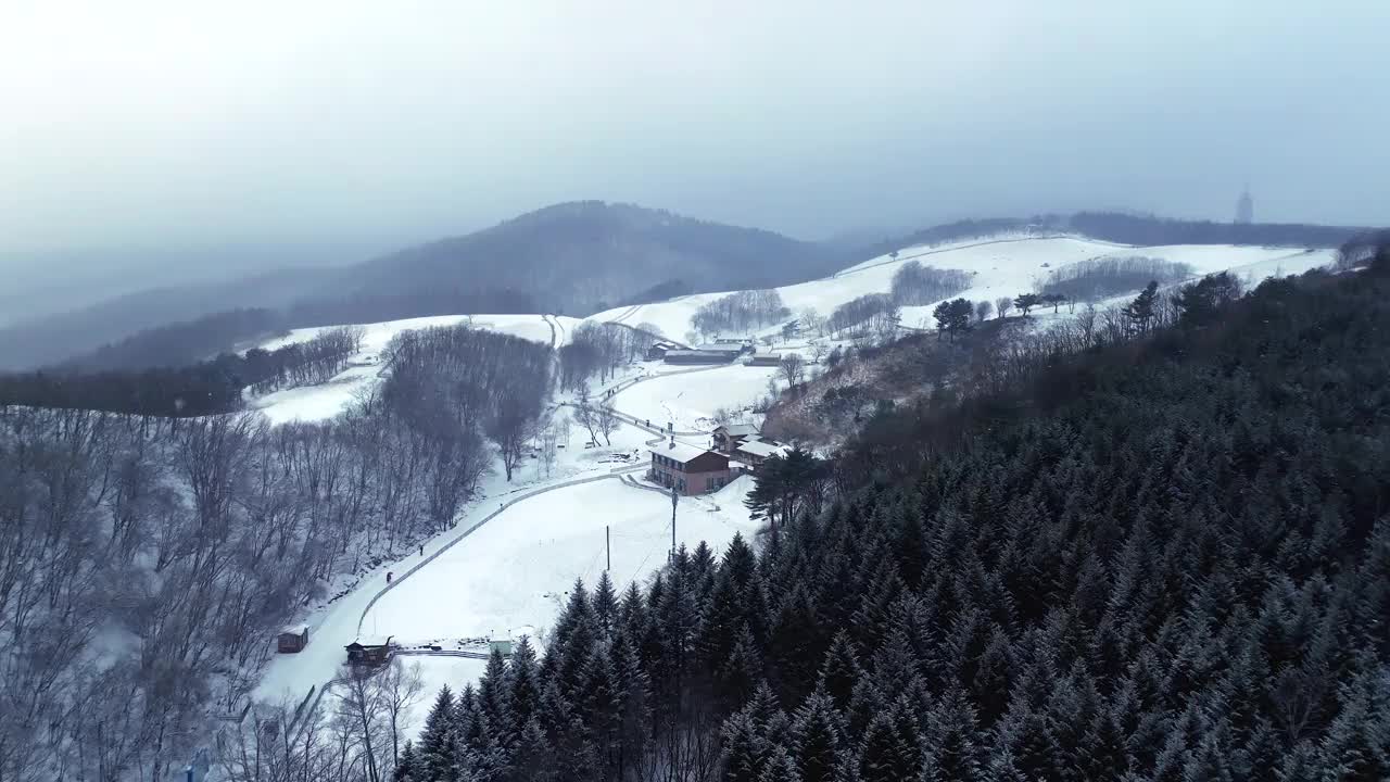 大关岭羊场和雪山/江原道，韩国视频素材