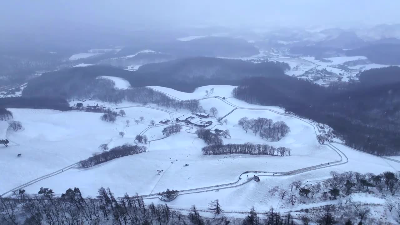 大关岭羊场和雪山/江原道，韩国视频素材