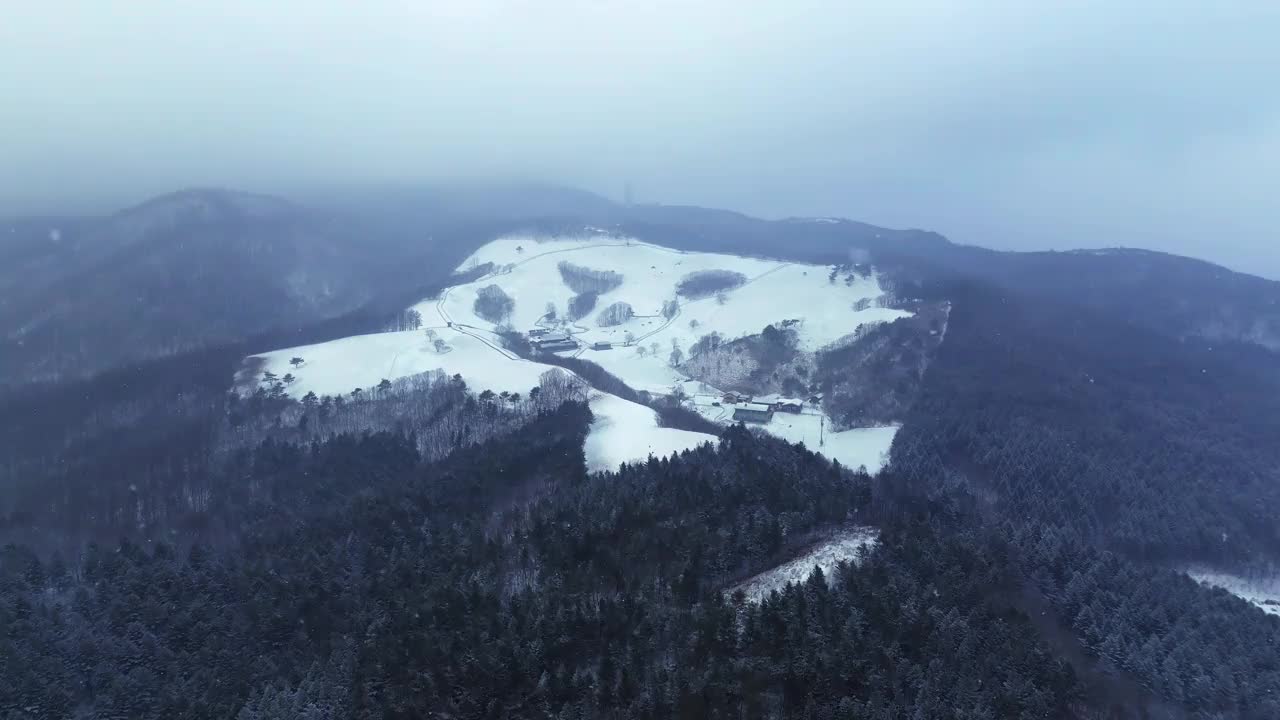 大关岭羊场和雪山/江原道，韩国视频素材