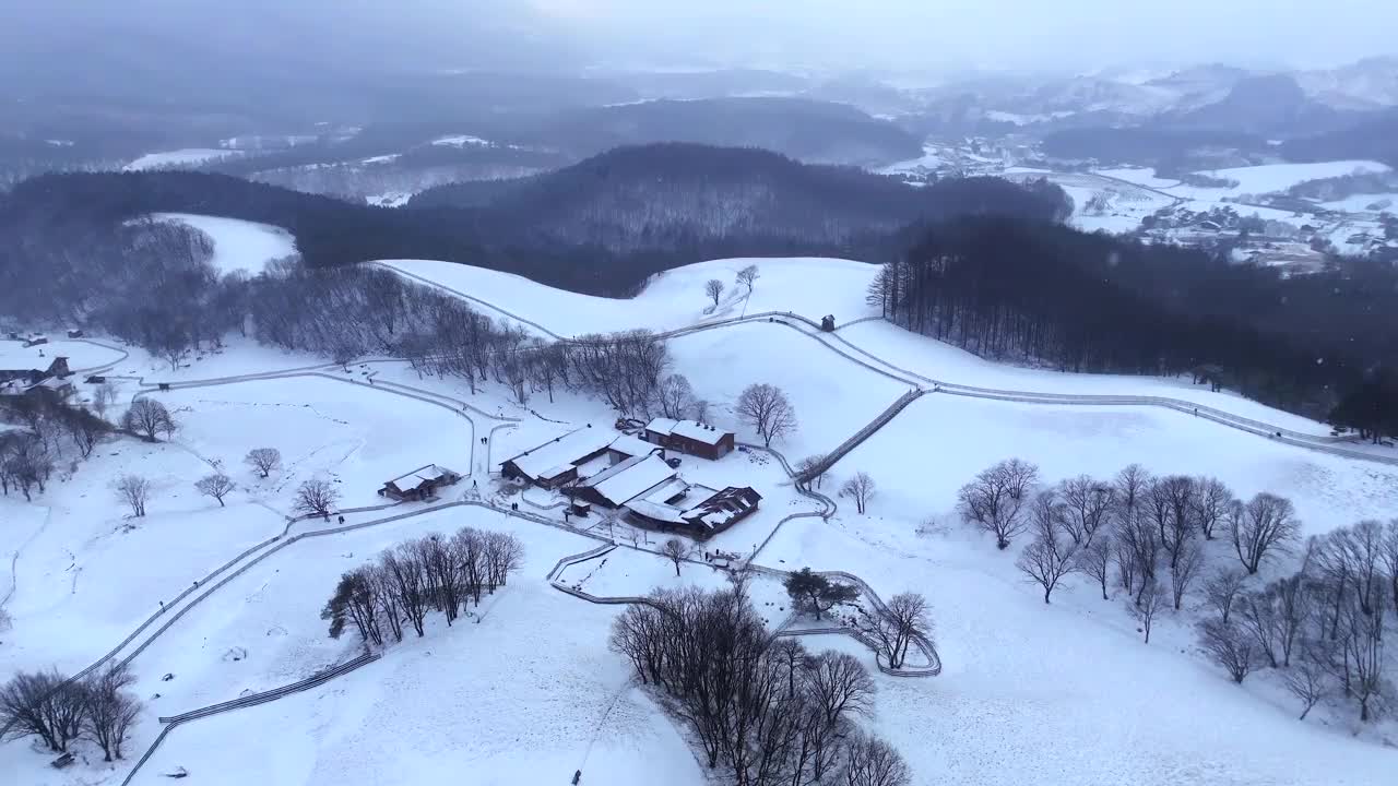 大关岭羊场和雪山/江原道，韩国视频素材