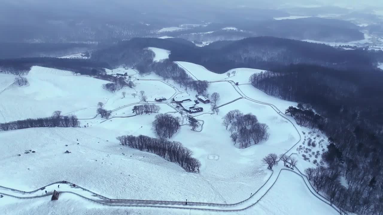 大关岭羊场和雪山/江原道，韩国视频素材