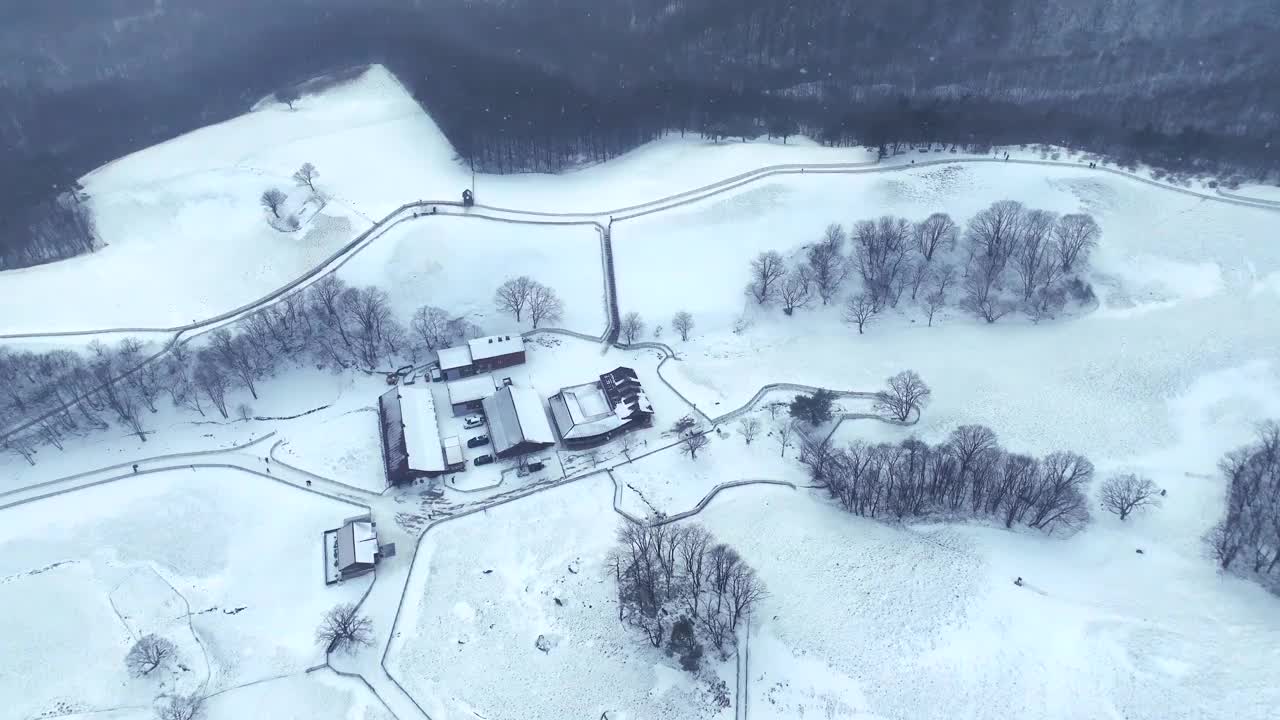 大关岭羊场和雪山/江原道，韩国视频素材