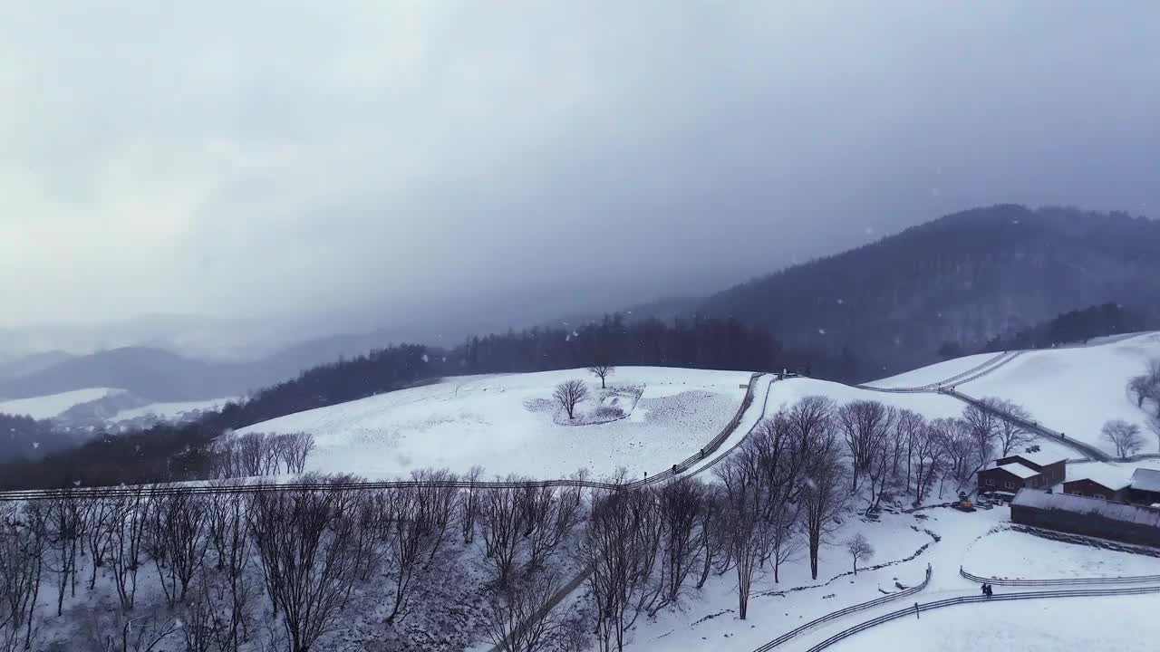 大关岭羊场和雪山/江原道，韩国视频素材