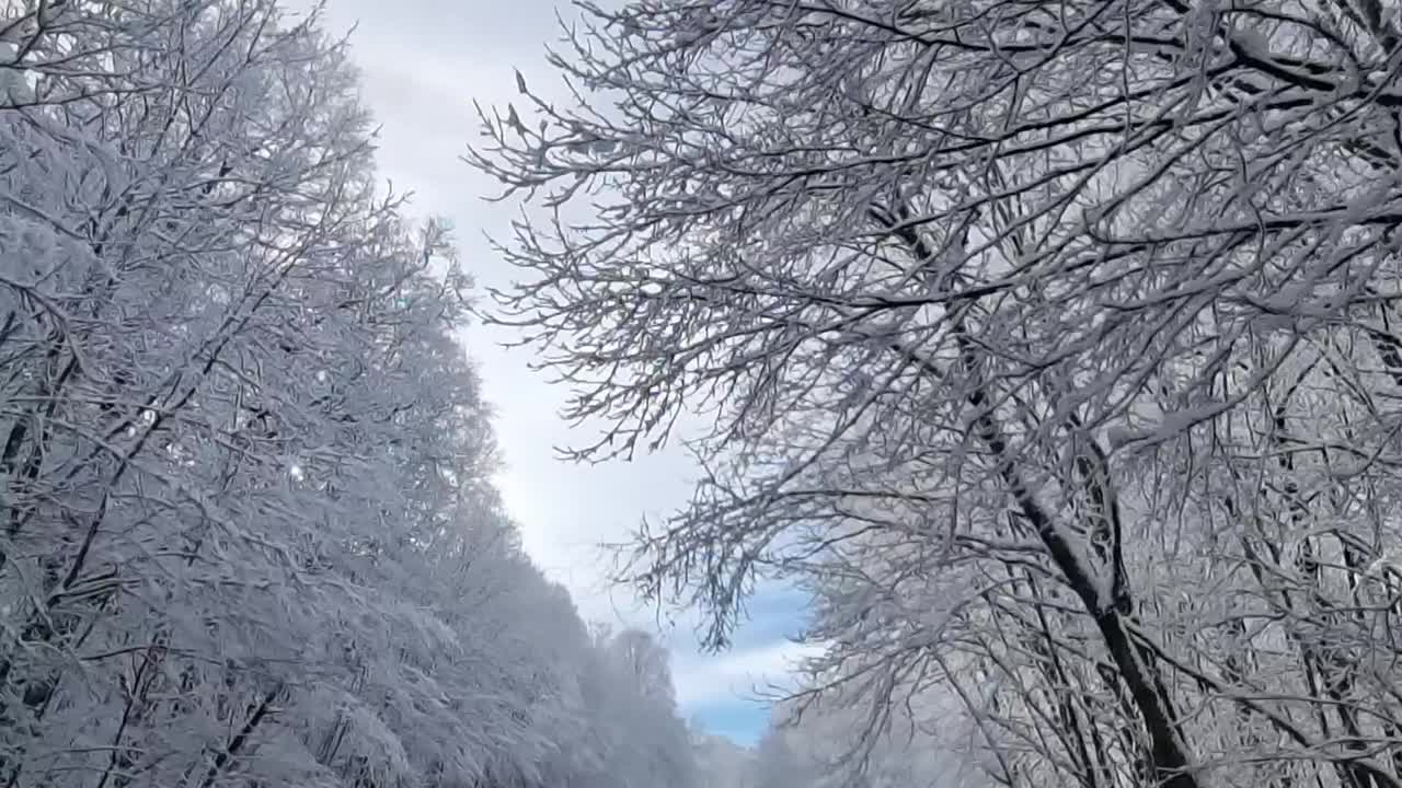 冬天积雪覆盖的道路在山林。射穿挡风玻璃。视频素材