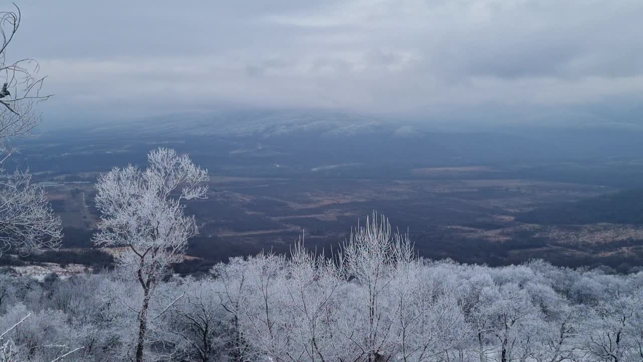 冬季山地景观。森林和山脉被白雪覆盖。视频素材