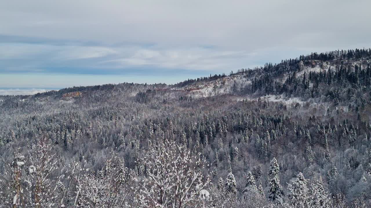 冬季山地景观。森林和山脉被白雪覆盖。视频素材