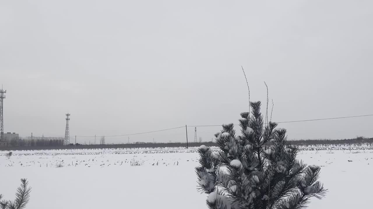 高速公路上的雪视频下载