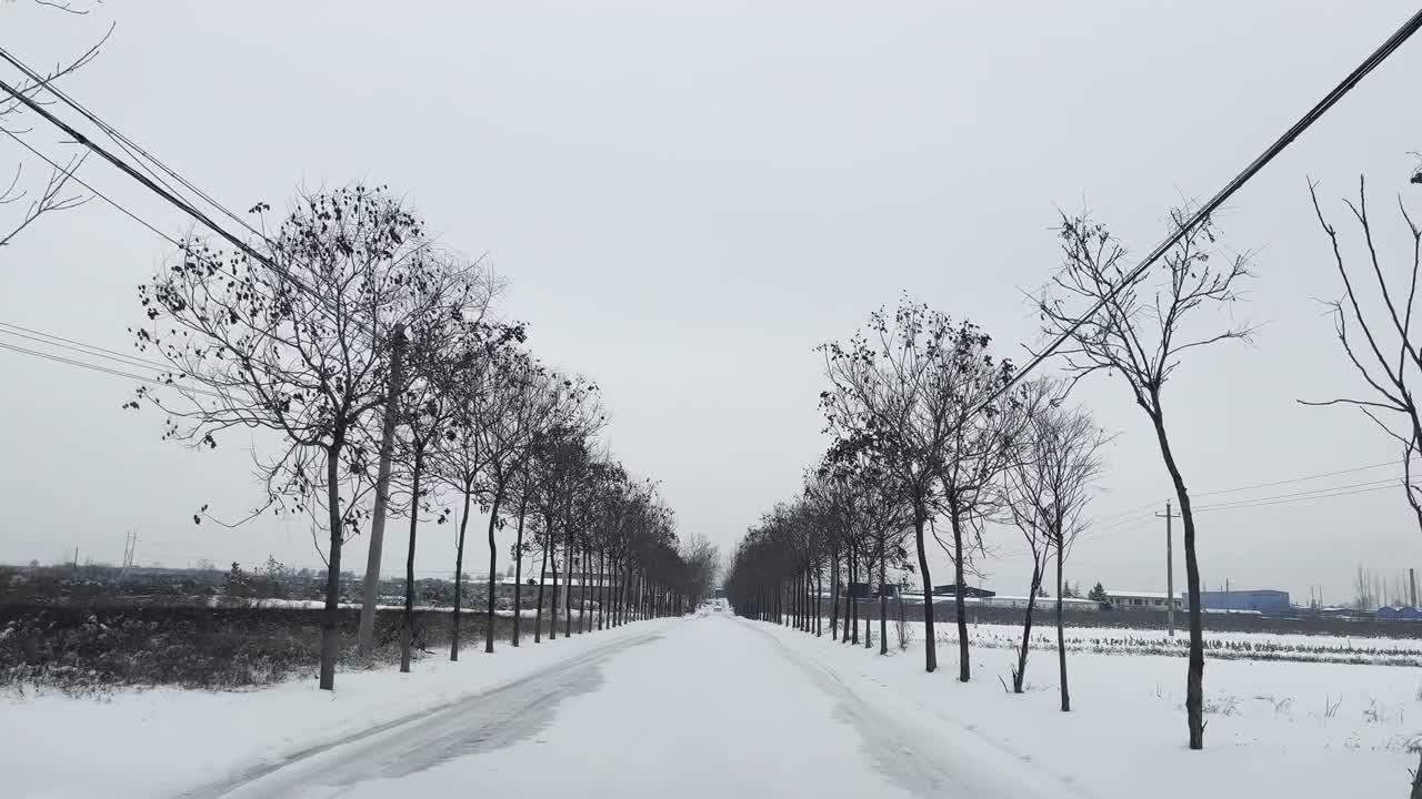 道路和树木被雪覆盖的景象视频素材