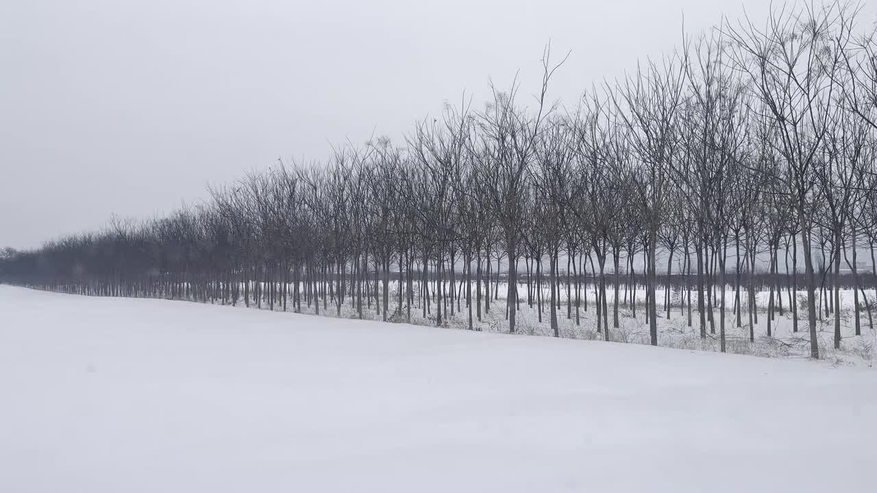 白雪覆盖的乡村景色视频下载