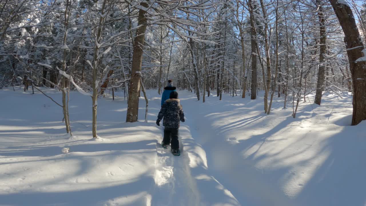 母亲和儿子在暴风雪后的冬天在森林里穿雪鞋视频素材