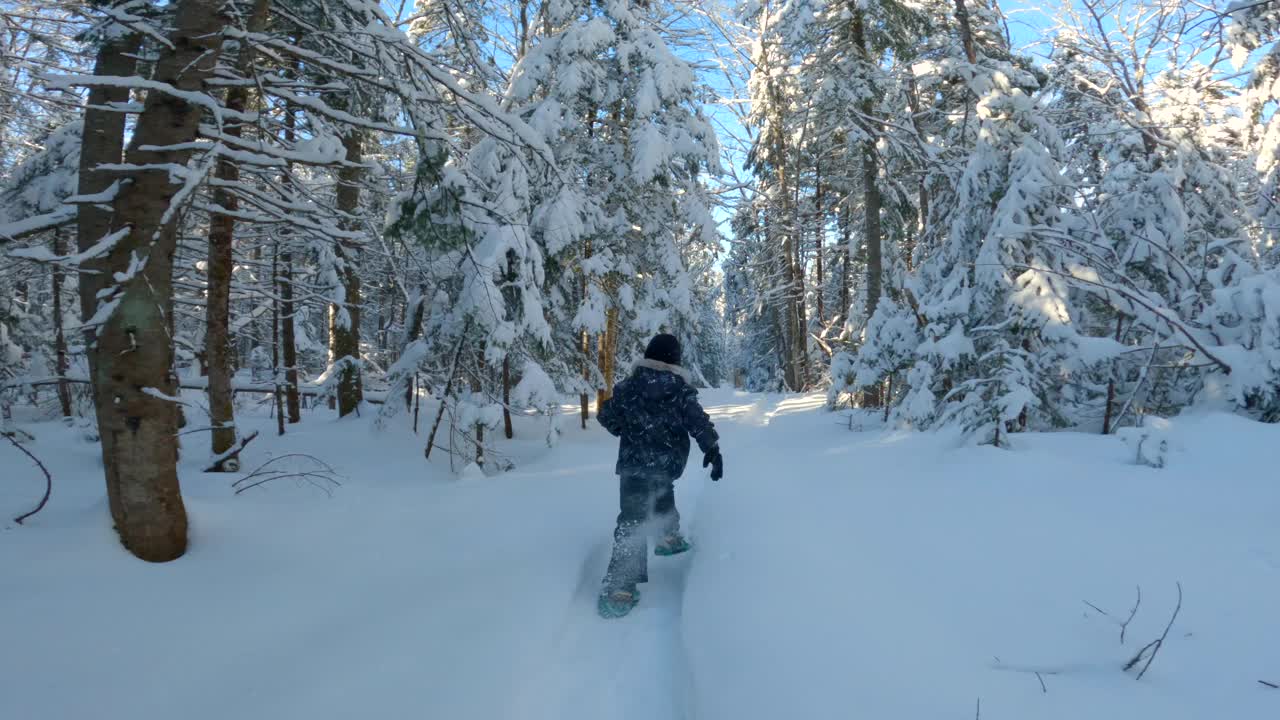 暴风雪后的冬天，小男孩在森林里穿雪鞋视频素材