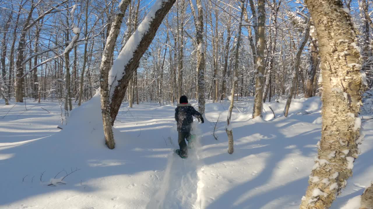 暴风雪后的冬天，小男孩在森林里穿雪鞋视频素材