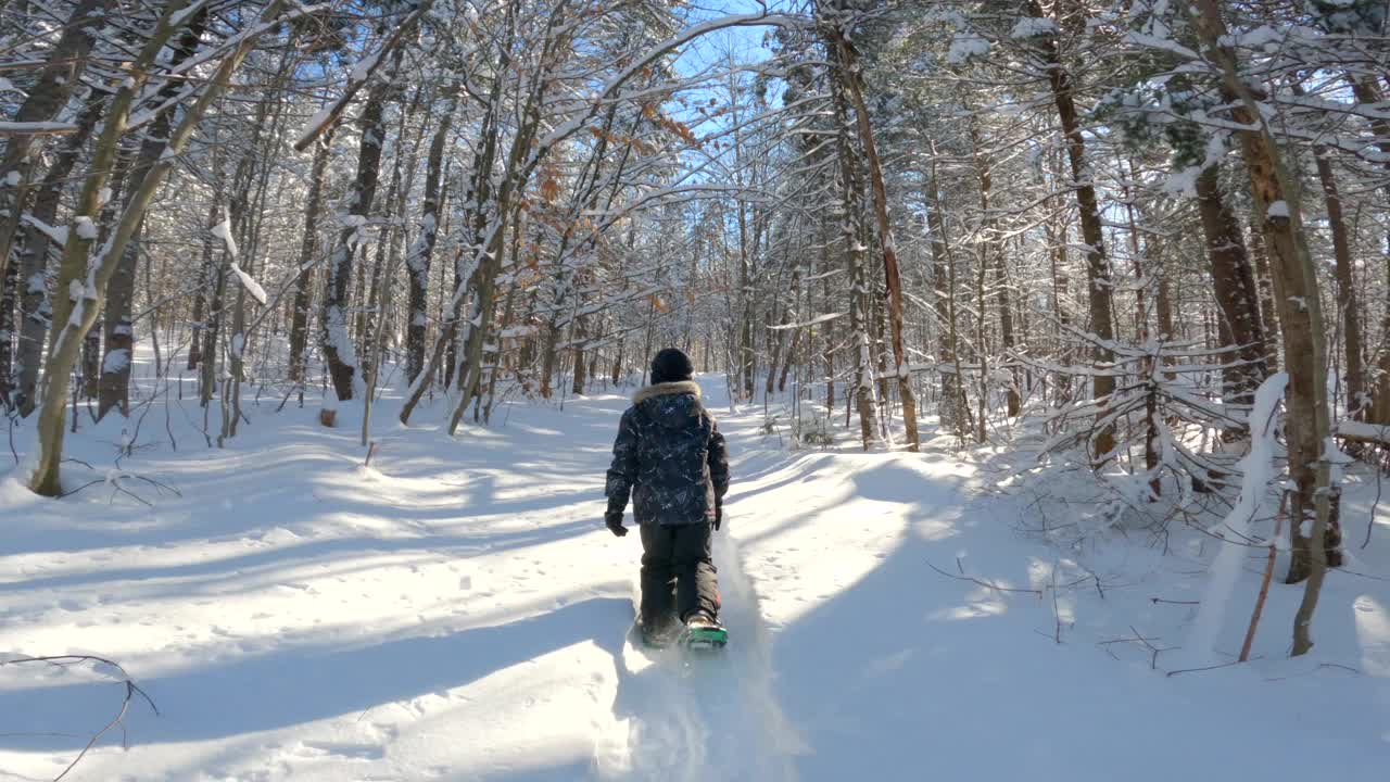 暴风雪后的冬天，小男孩在森林里穿雪鞋视频素材