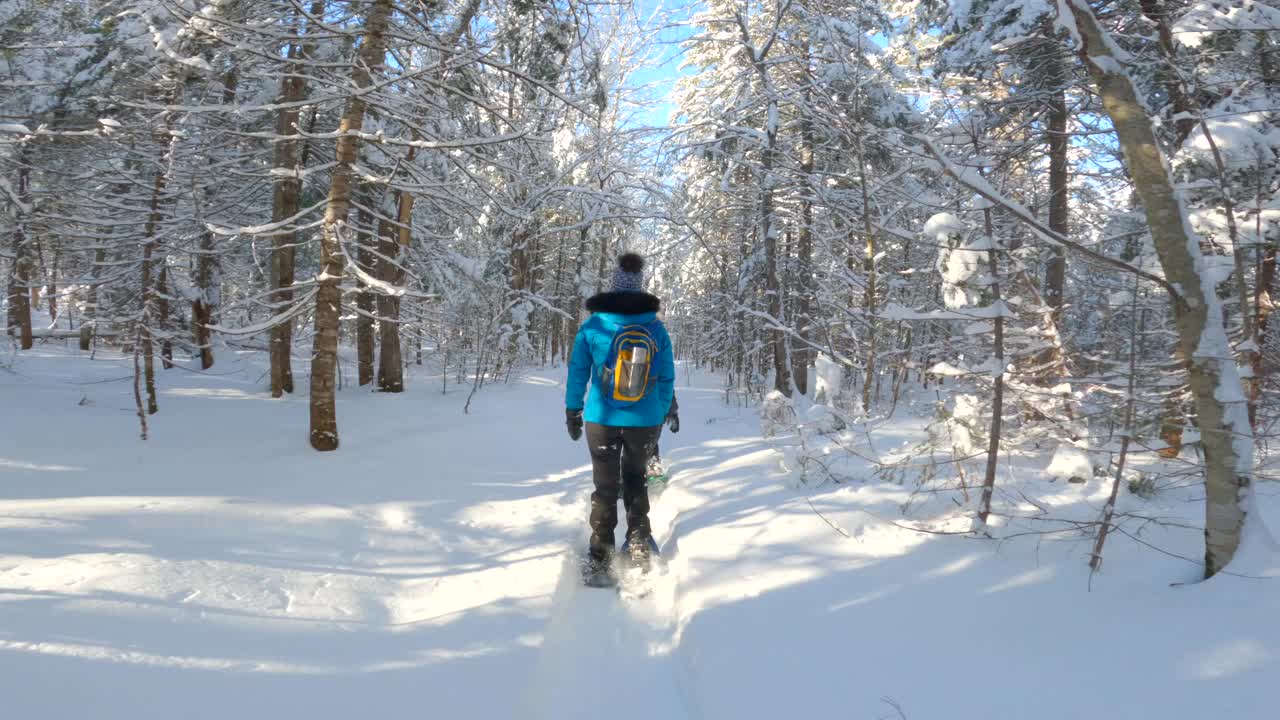 母亲和儿子在暴风雪后的冬天在森林里穿雪鞋视频素材