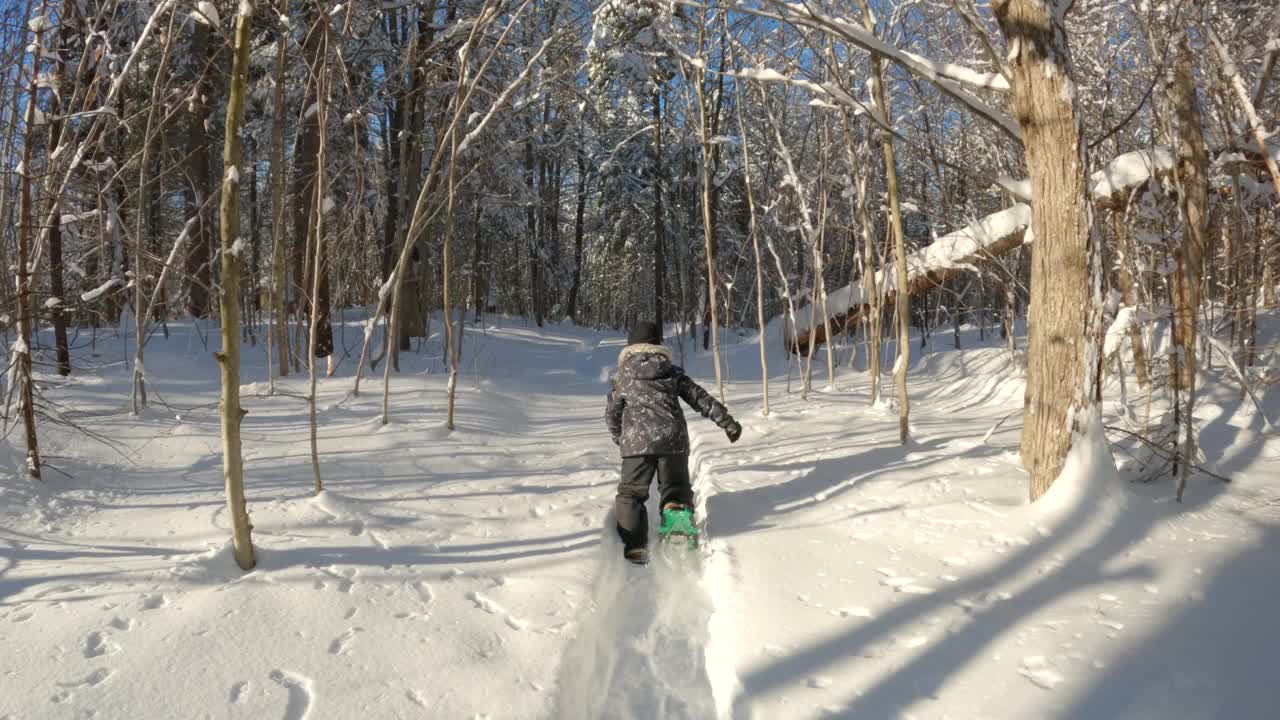 暴风雪后的冬天，小男孩在森林里穿雪鞋视频素材