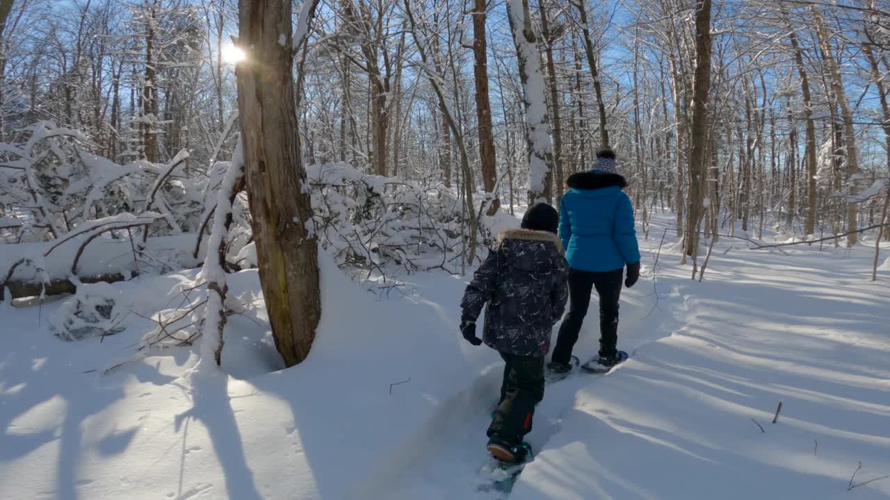 母亲和儿子在暴风雪后的冬天在森林里穿雪鞋视频素材