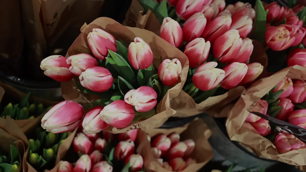 花市上的郁金香花束。春天和妇女节的概念，母亲节，3月8日，生日。浪漫的礼物。视频下载