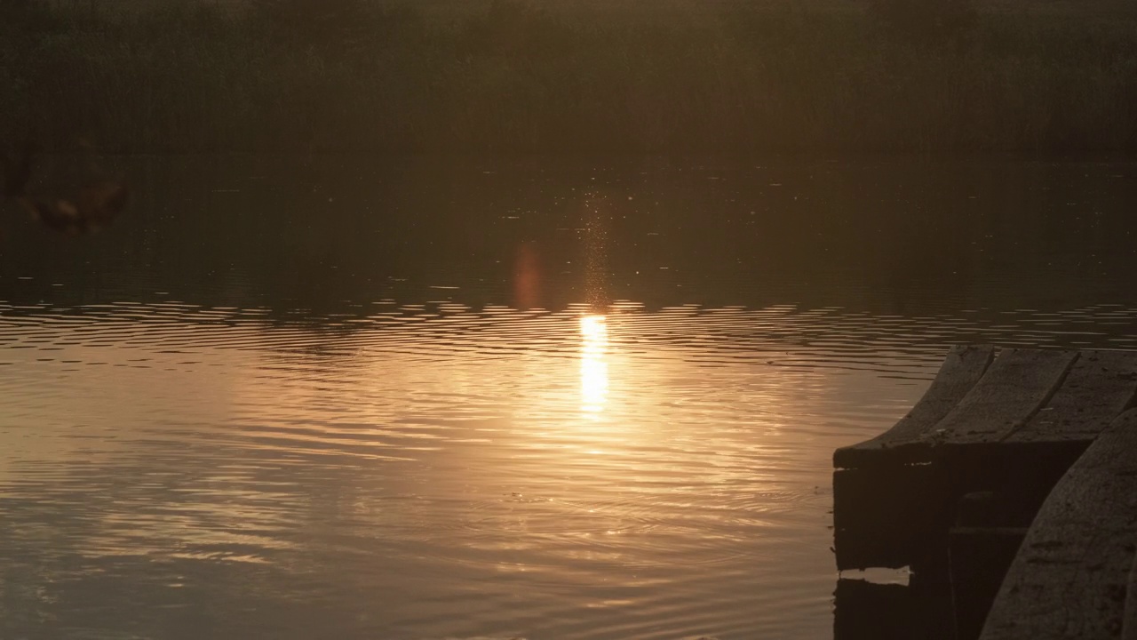 河上金色的夕阳。日出时太阳反射在水面上视频素材