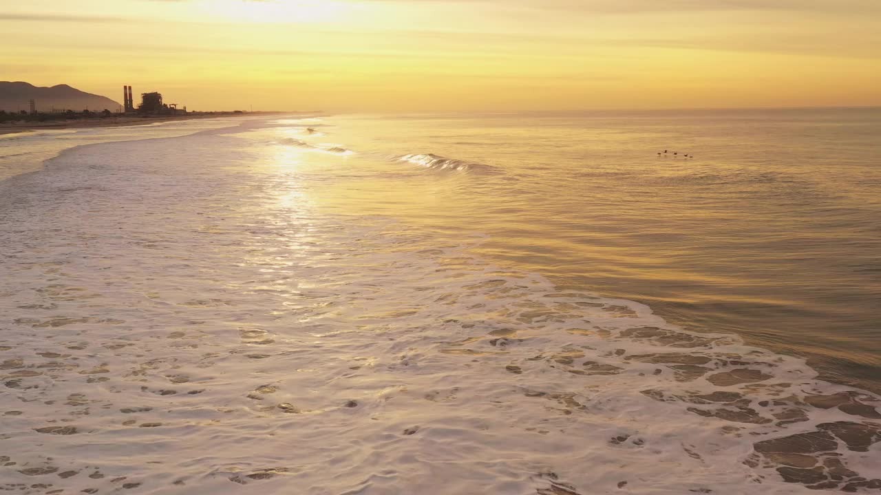 干净的近海海浪滚滚到海滩上，海鸟被明亮的金色日出照亮视频素材