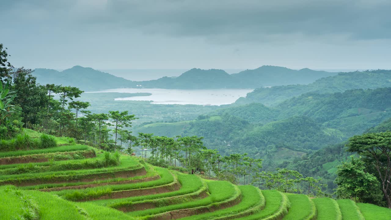 时间流逝，清晨梯田上空乌云密布视频素材