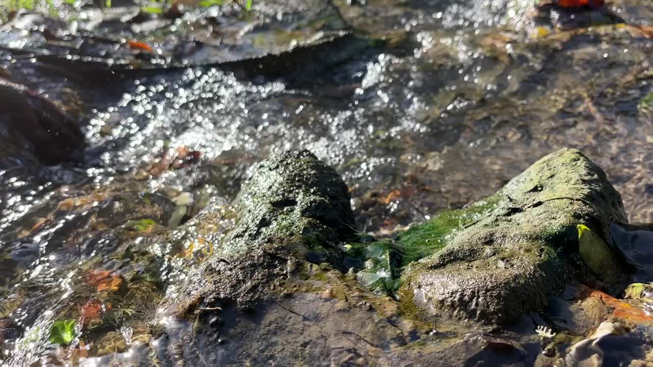 阳光明媚的日子里，河水流过河里的鹅卵石。视频素材