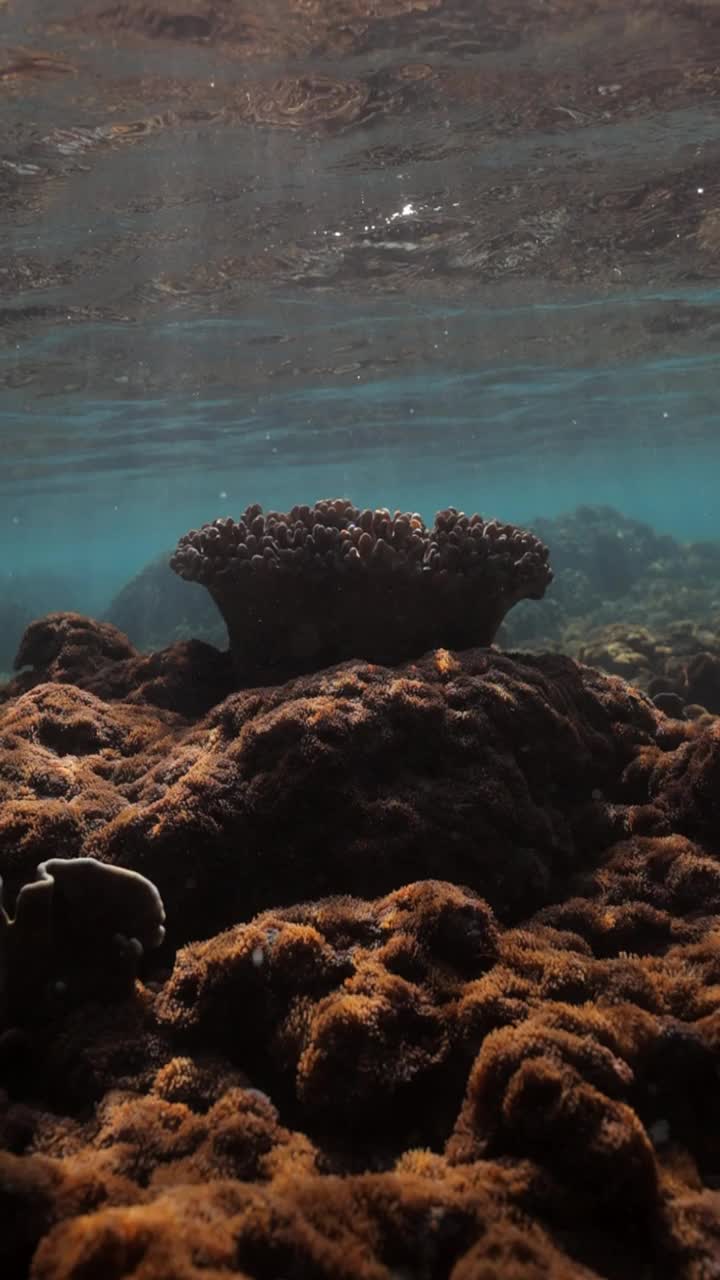 阳光穿过深海海底波浪的慢动作镜头——印度尼西亚龙目岛视频素材