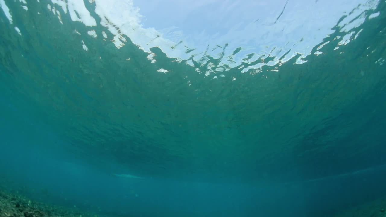 慢镜头拍摄的鱼游泳在海里，而云雾海浪飞溅- thulushoo，马尔代夫视频素材