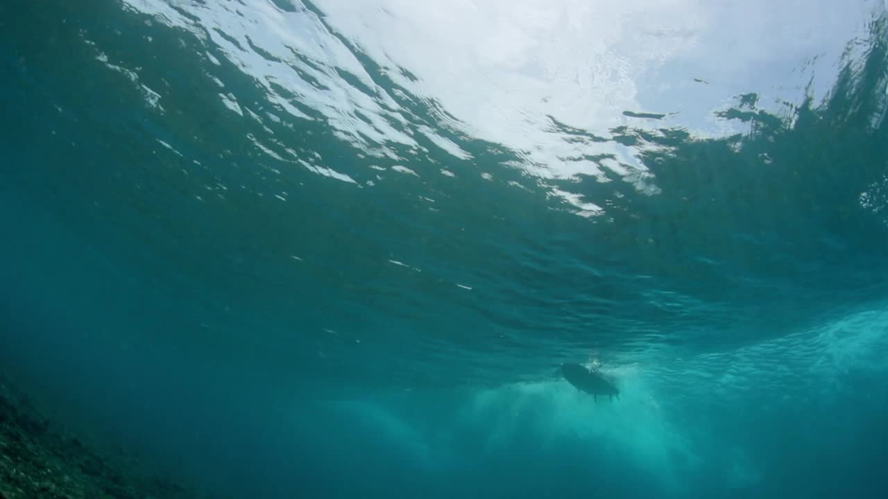 从海底看到冲浪者的腿和冲浪板游泳的慢动作镜头——马尔代夫的thulushoo视频素材