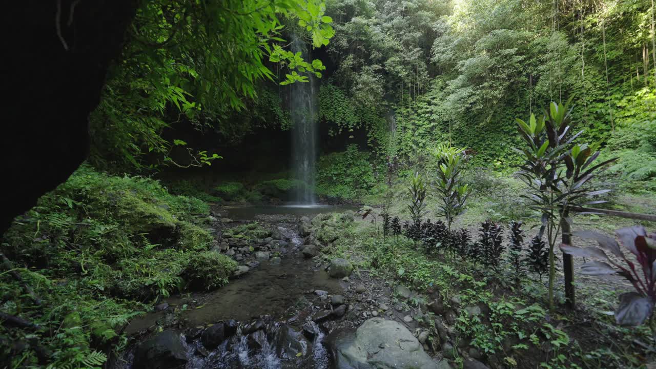 风景如画的水流动和落入河流在绿色森林-巴厘岛，印度尼西亚视频素材