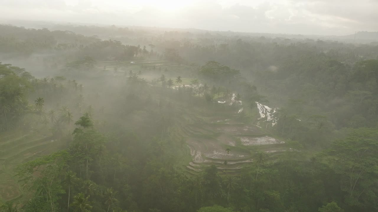 空中拍摄的宁静的水稻梯田在山上，无人机飞行向前在大雾天气-巴厘岛，印度尼西亚视频素材