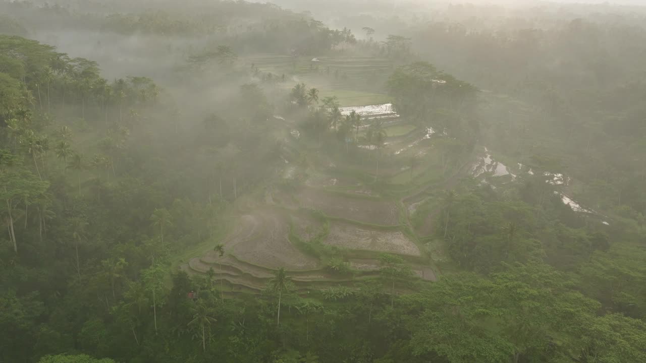 空中平移拍摄的稻田在山上的耕地在大雾天气的早晨-巴厘岛，印度尼西亚视频素材