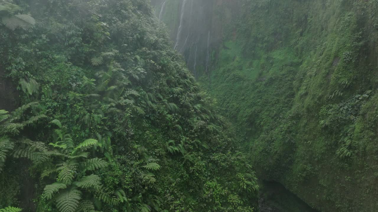 Coban Sewu瀑布的空中拍景，无人机在岩石上的绿色植物前飞行-印度尼西亚爪哇视频素材