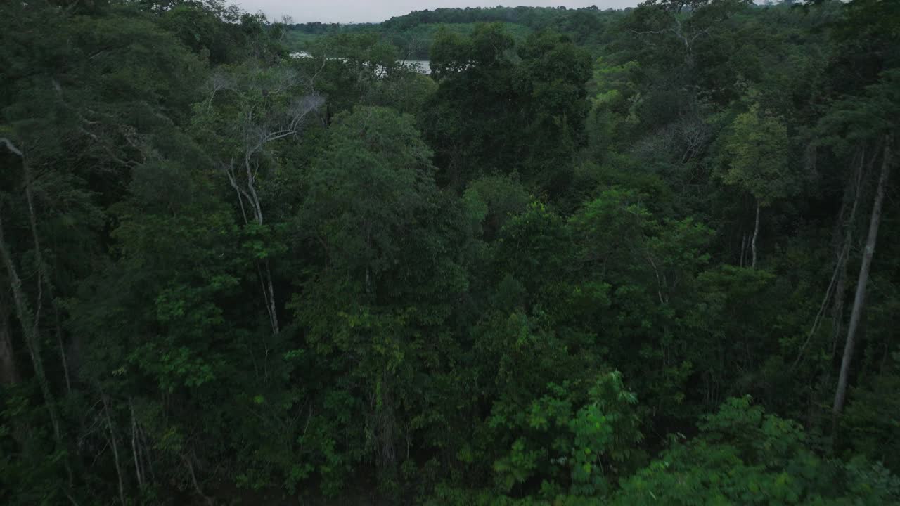 航拍的人在亚马逊河上的船屋，无人机飞过森林的树木-玛瑙斯，巴西视频素材