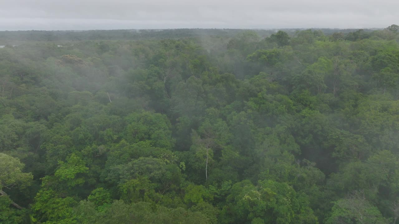 Aerial Shot Of WorldÕS Largest Tropical Rainforest By River Against Cloudy Sky, Drone Flying Forward Over Green Trees - Manaus, Brazil视频素材