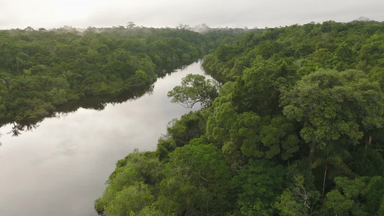 空中反射的云在河中森林，无人机飞行在绿色的树木-玛瑙斯，巴西视频素材