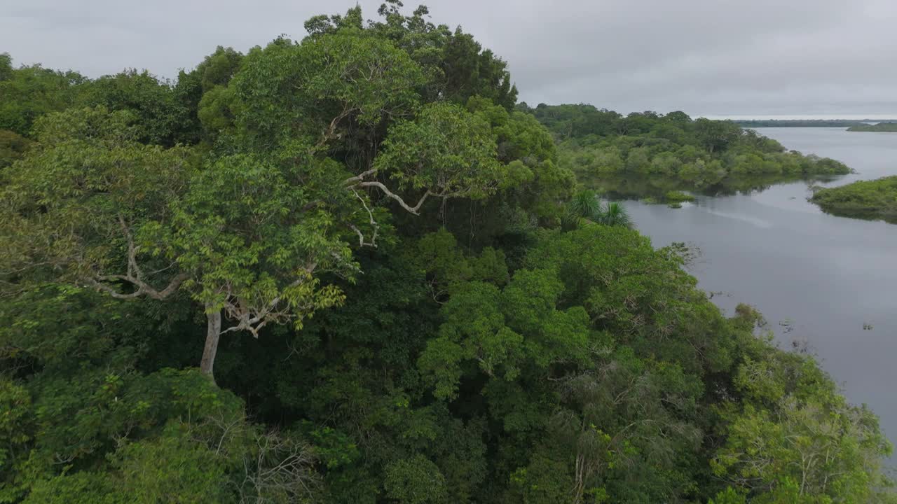 航拍船屋WorldÕS最大的热带雨林，无人机飞过绿色树木-巴西玛瑙斯视频素材