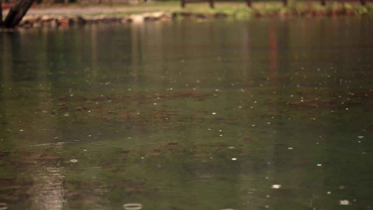 雨天的池塘视频素材