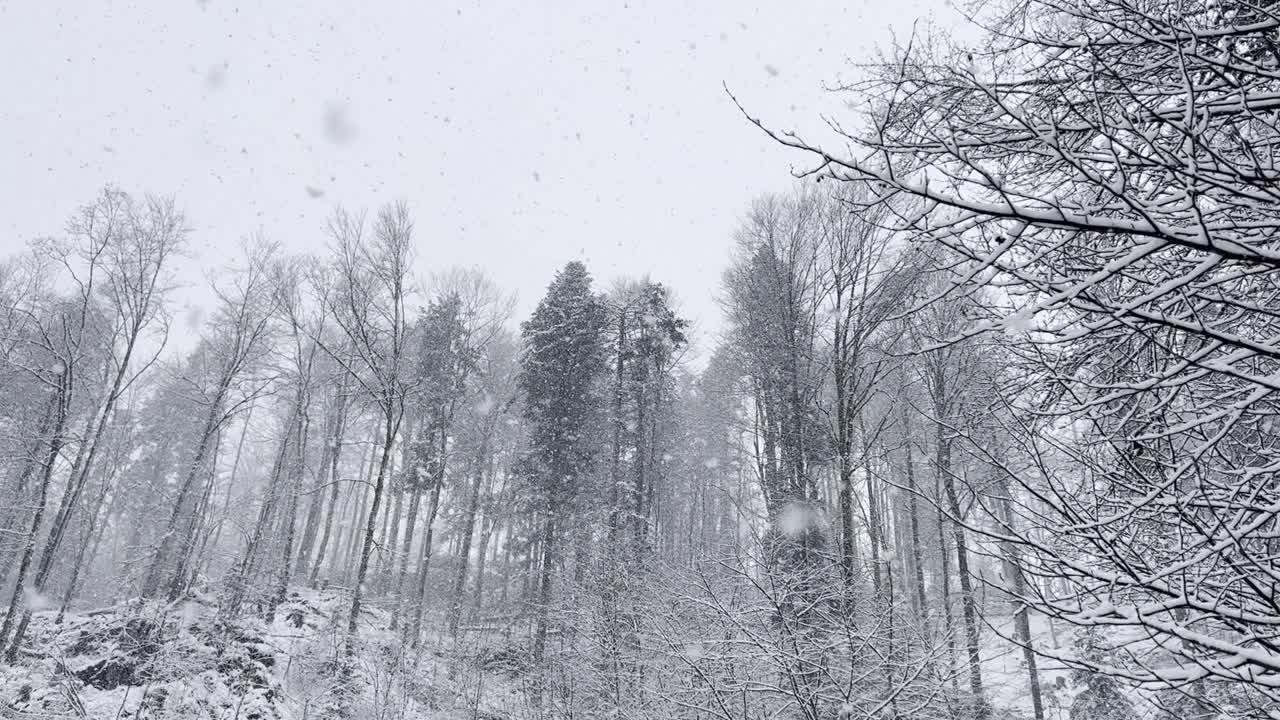 Twann的雪流天气视频视频下载