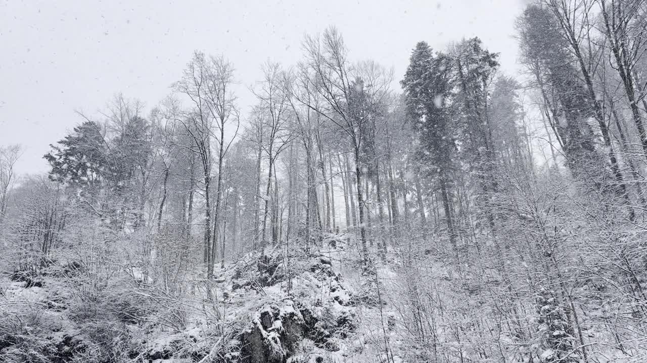 Twann的雪流天气视频视频素材