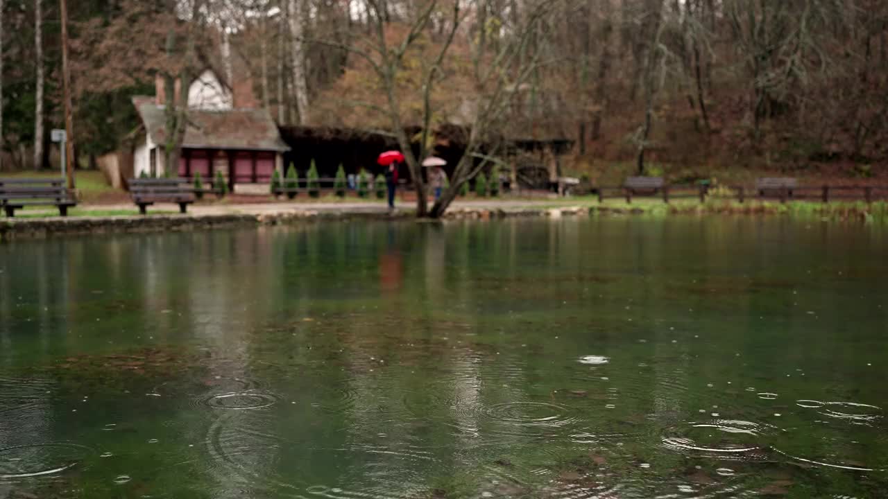 雨天的池塘视频素材