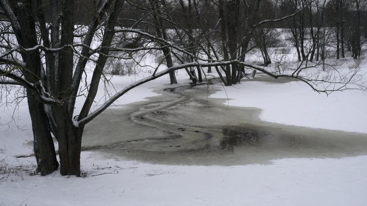 融雪汇成的溪流在森林中流淌视频素材