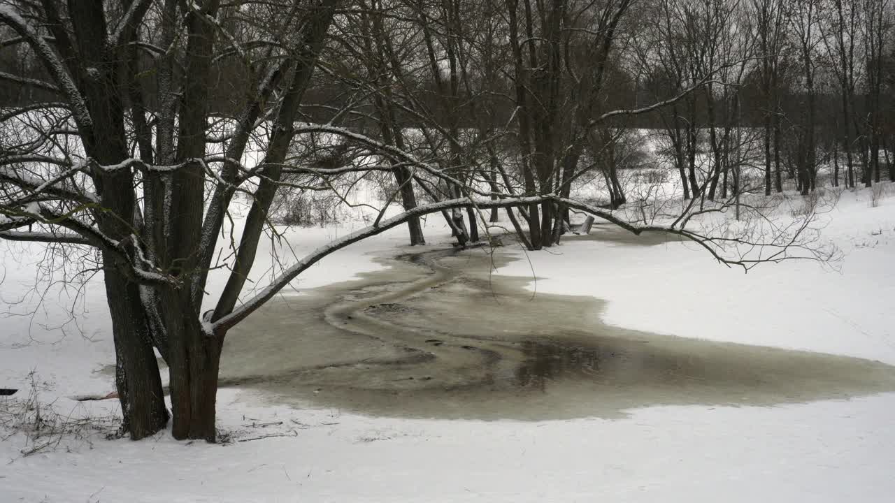 融雪汇成的溪流在森林中流淌视频素材