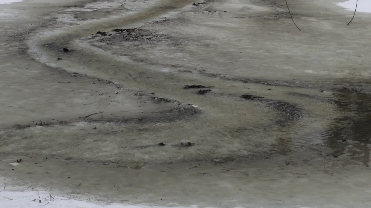 融雪汇成的溪流在森林中流淌视频素材