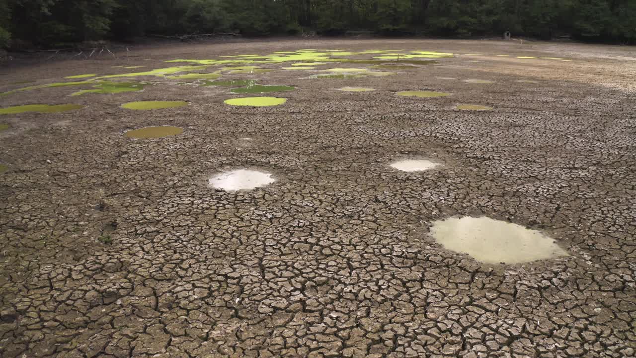 干涸的河床，在夏天的水坑里，手持拍摄视频素材