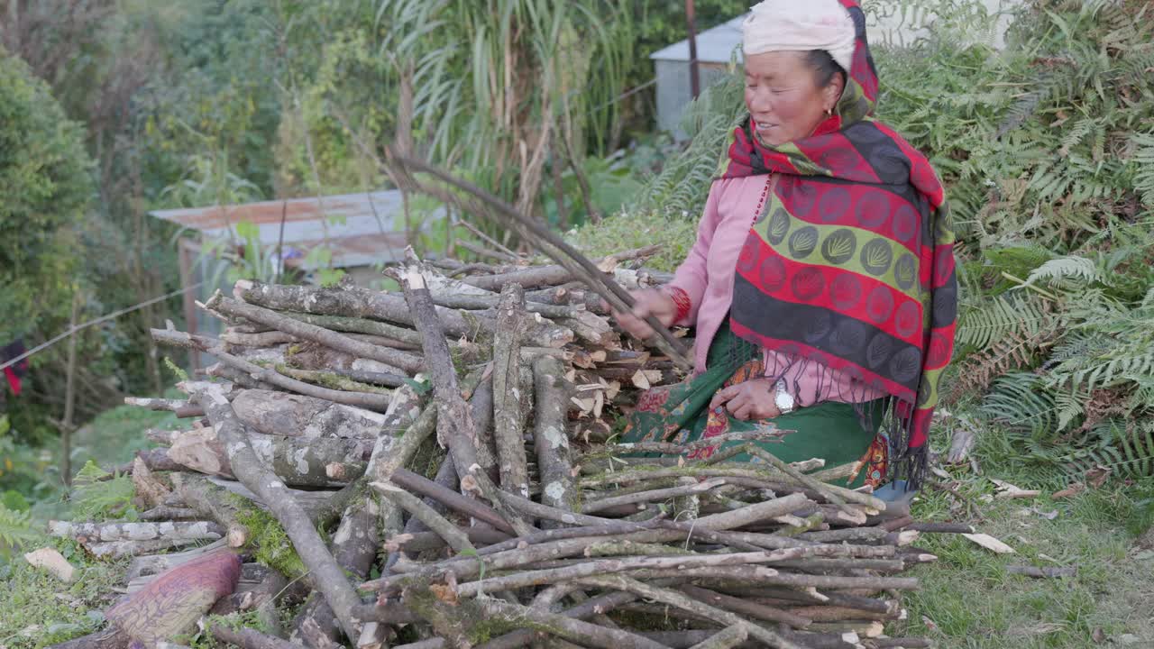 一名尼泊尔妇女在安纳普尔纳山脉附近收集森林视频素材