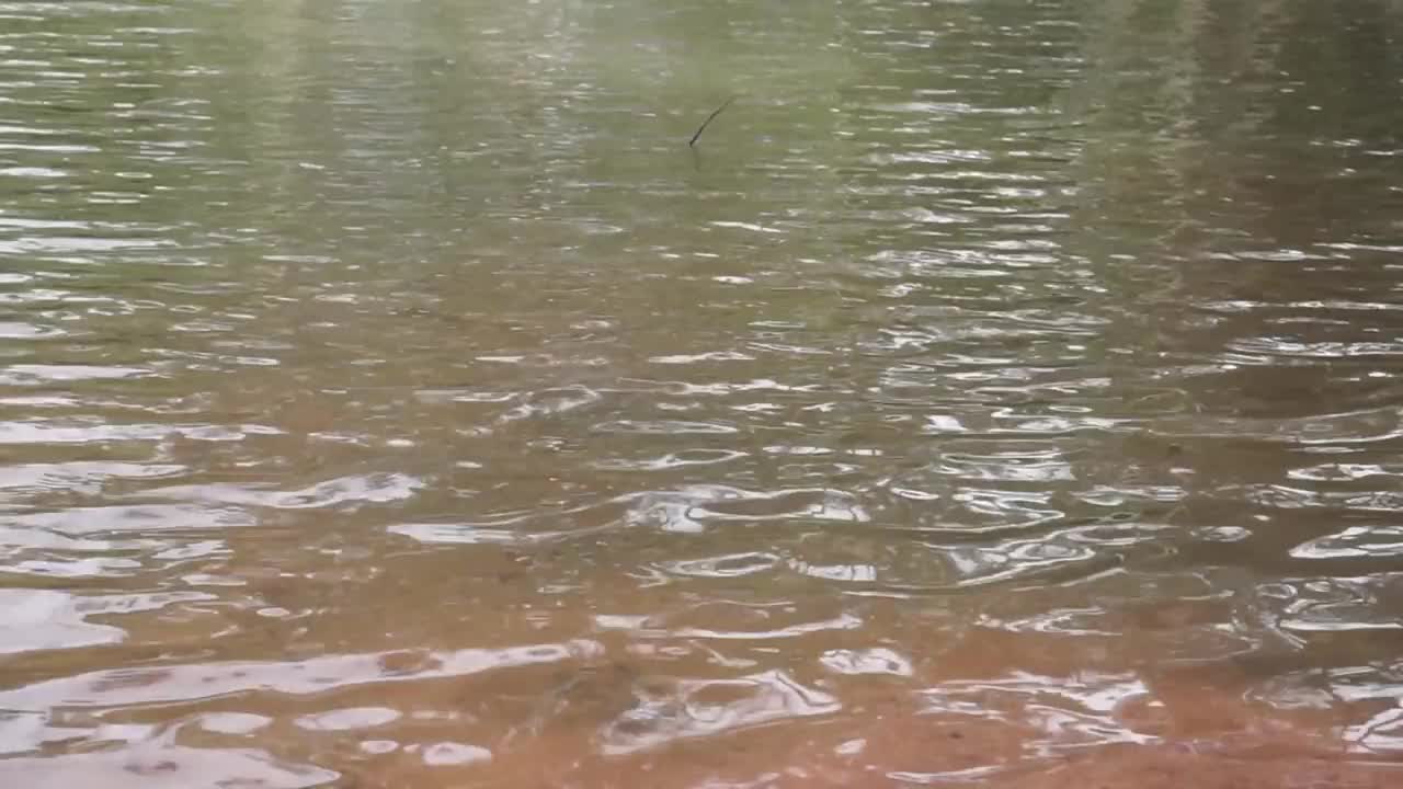 水面视频素材